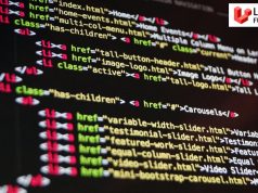 Best Vue.js Coding Learning Resources Vue.js Coding: Resources for Beginners to Experts